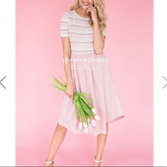 NeeSee's Dresses Dresses & Skirts - NWT Blush Pink Striped Midi Dress